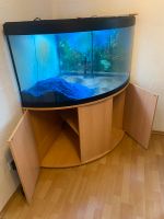 Fluval Eckaquarium 350l Baden-Württemberg - Schorndorf Vorschau