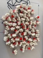 75x Switch Red Linear Gateron Schwerin - Altstadt Vorschau