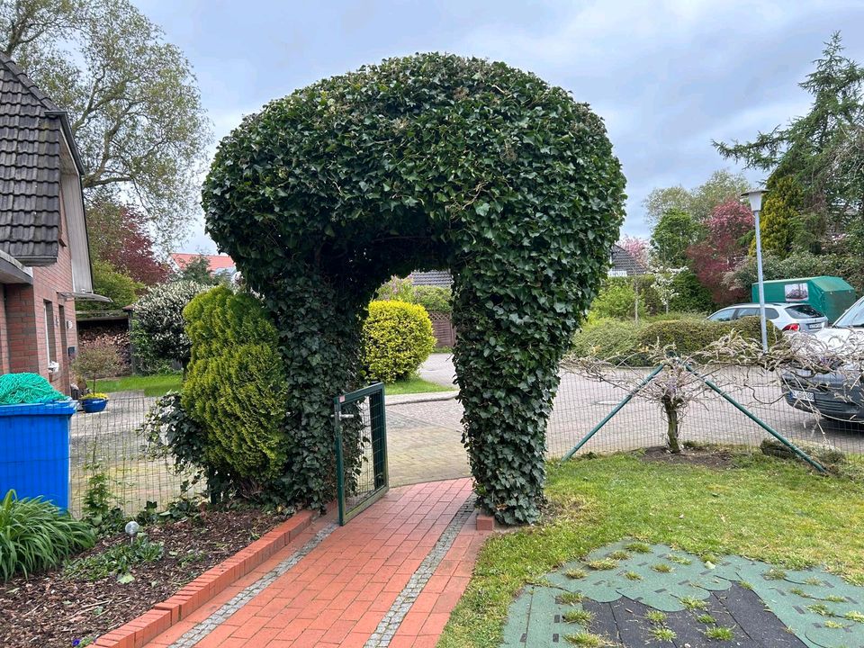 Gärtner hat noch Termine frei! in Oldenburg