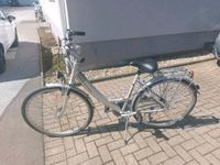 Damenfahrrad 28Zoll Marke Schauff Nordrhein-Westfalen - Kierspe Vorschau