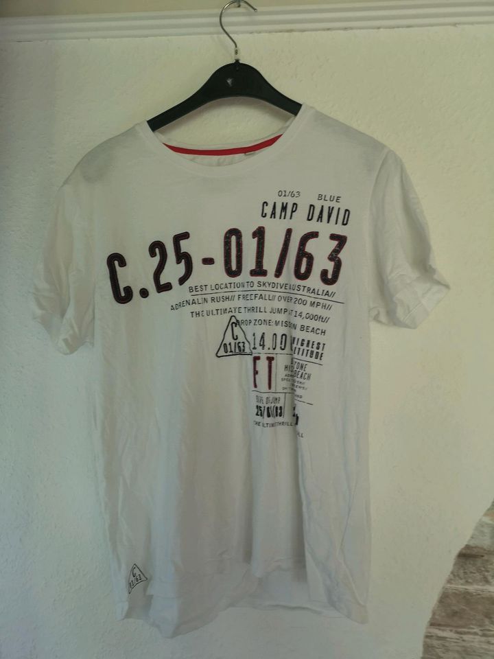 3 mal Camp David t-shirt in Neuwied