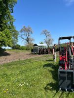 Trauumjob: Wagyu Sauerland sucht Landwirt:in 20h/Woche Nordrhein-Westfalen - Arnsberg Vorschau