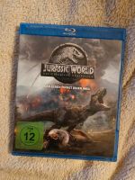 BluRay - Jurassic World Das Leben findet einen Weg Nordrhein-Westfalen - Bocholt Vorschau