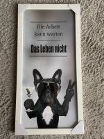 Bild Bulldogge Baden-Württemberg - Nußloch Vorschau