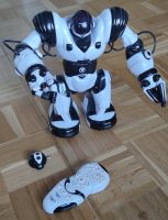 Spielzeug Roboter Thüringen - Uder Vorschau