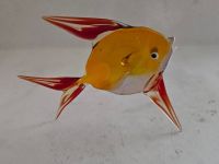 Fisch -Glas Tier Figur 12 cm Nordrhein-Westfalen - Marsberg Vorschau