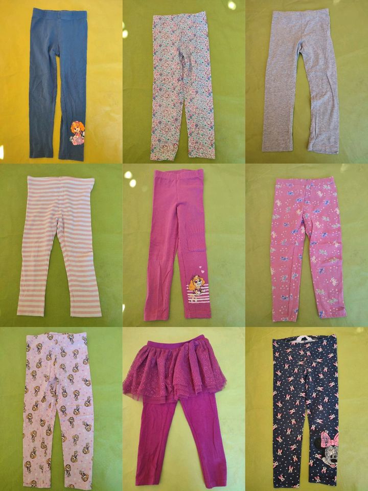 Leggings Paw Patrol in Drei Gleichen