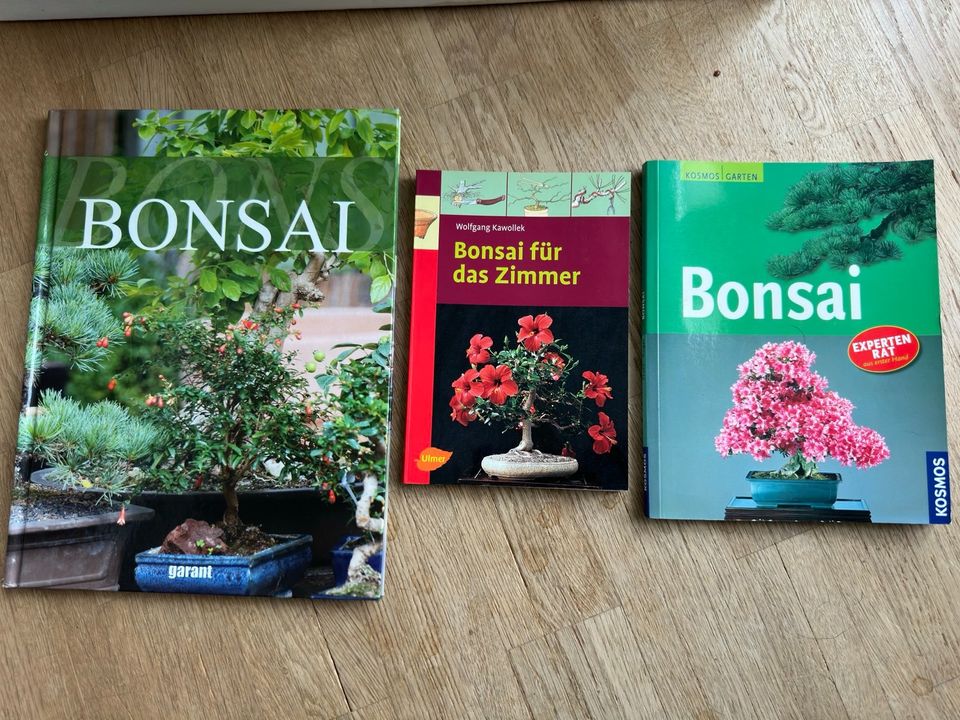 Bücher Bonsai in Theres