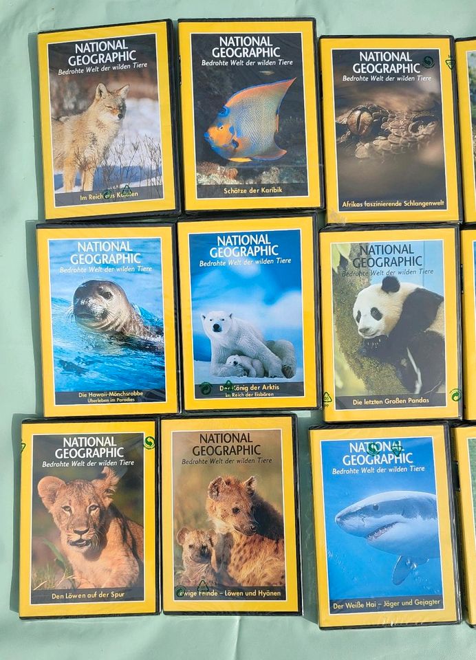 National Geographic DVD Sammlung in Graben-Neudorf