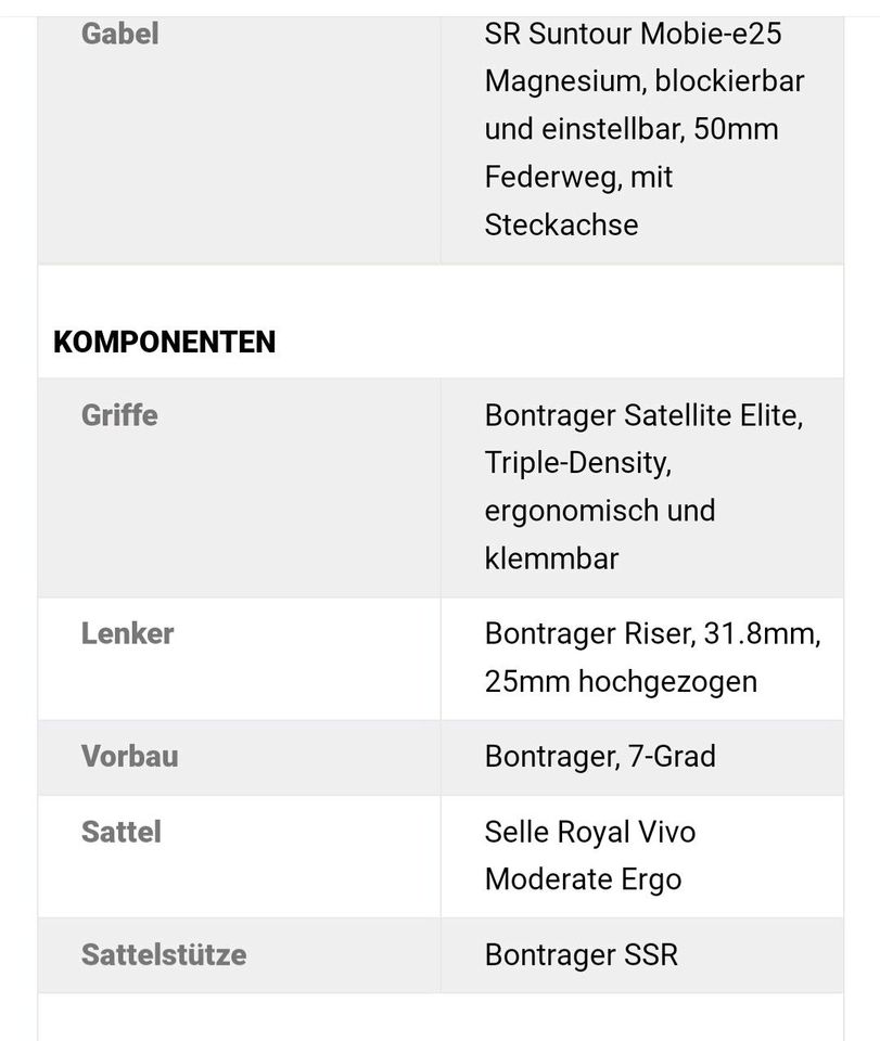 E-bike Diamand Zouma Deluxe in Dortmund