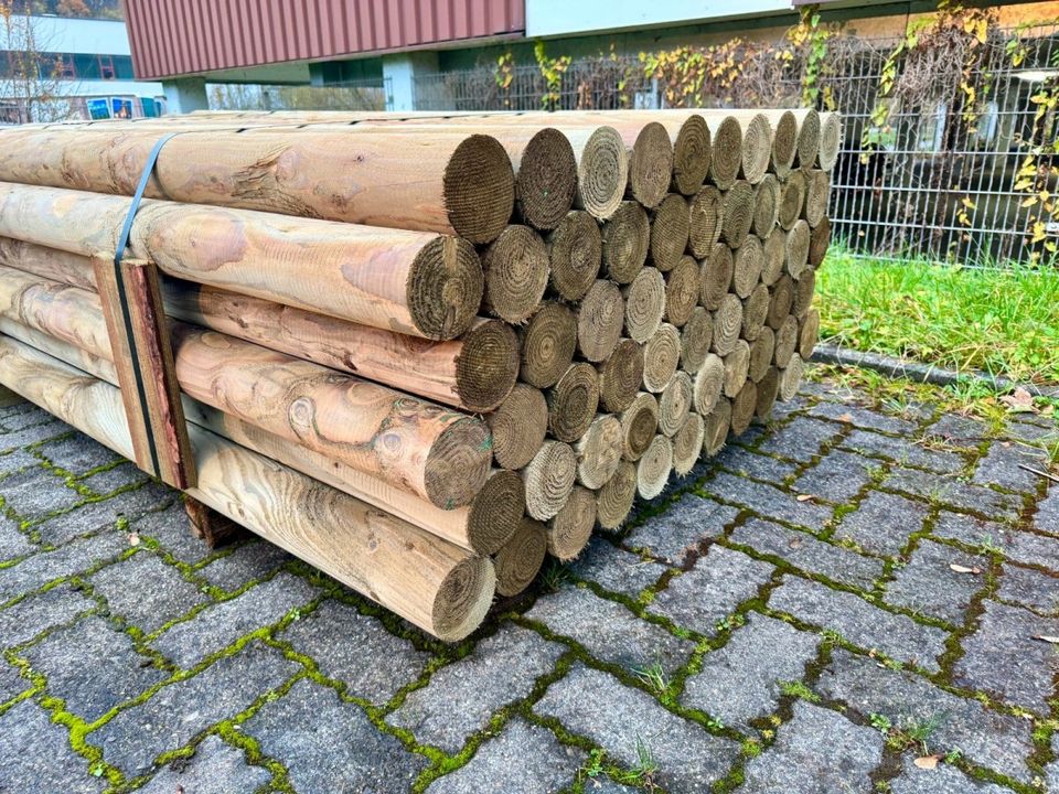 Palisade Rundholz Schneefangholz Stangen Holz - 8 x 500 cm LÄRCHE in Olsberg