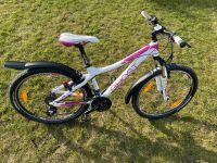 Kinderfahrrad Ghost Sachsen-Anhalt - Pouch (Muldestausee) Vorschau