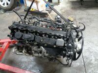 BMW E39 5er 530d 135 KW 184 PS Motor Engine M57 Nordrhein-Westfalen - Gelsenkirchen Vorschau