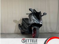 Honda Forza 125 | ABS | Edition | Neuwertig Bayern - Neu Ulm Vorschau