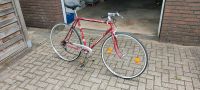 Peugeot Rennrad ca. 60er-70er Jahre Nordrhein-Westfalen - Vreden Vorschau