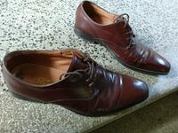 Hochwertige Lederschuhe GEOX Respira Größe 40 Sachsen - Meißen Vorschau