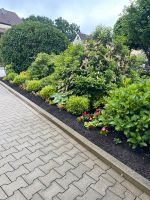 Gartenarbeit & Gartenpflege, Unkraut entfernen, Heckenschnitt Nürnberg (Mittelfr) - Südstadt Vorschau