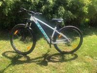 Mountainbike Hardtail TREK Marlin 29 Zoll Rahmen M Hessen - Hünfeld Vorschau