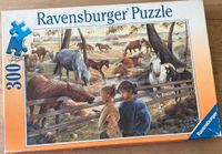 Ravensburger Puzzle 300 Bei den Pferden Nr. 13 038 2 Hessen - Kriftel Vorschau