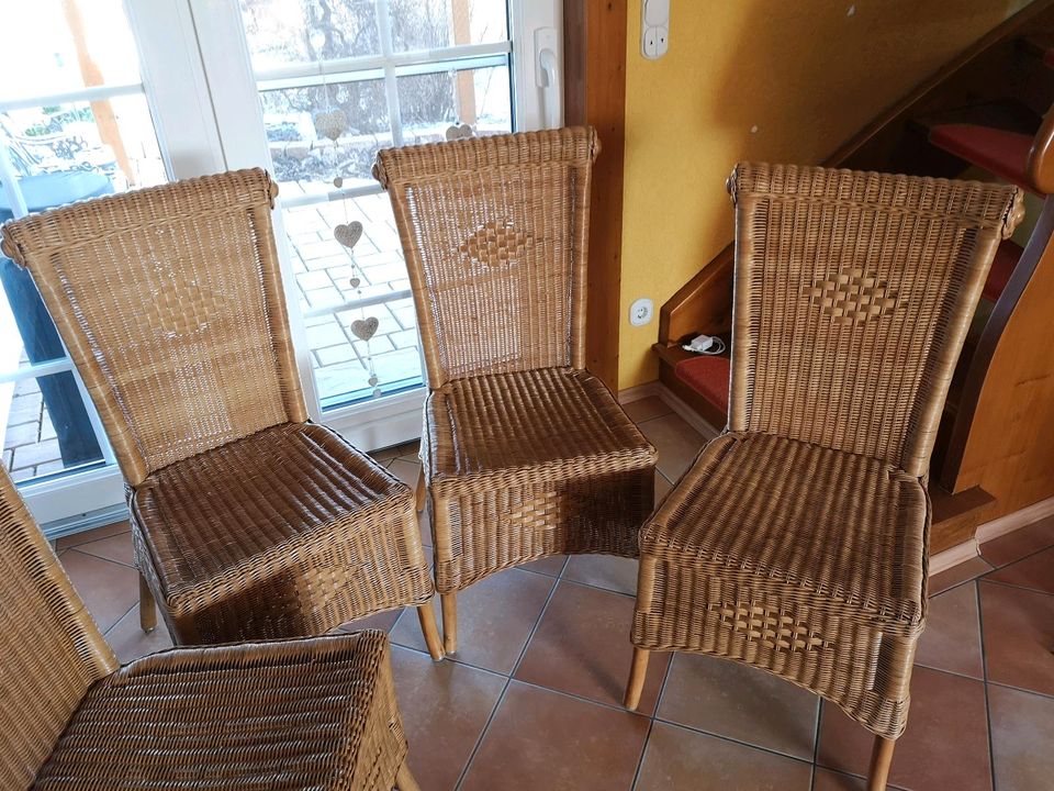 Esszimmer Stühle aus Rattan Hochwertig in Blankenburg (Harz)