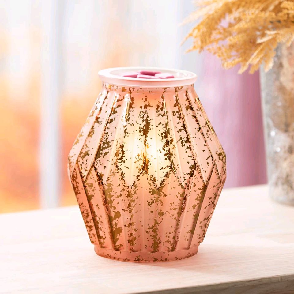 Scentsy Duftlampe Mirrored Rose Angebot in Böhmenkirch