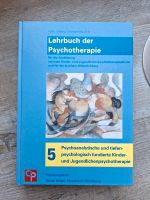 Lehrbuch der Psyhotherapie, Bd.5, Hiller/Leibing/Leichsring/Sulz Hessen - Bad Salzschlirf Vorschau