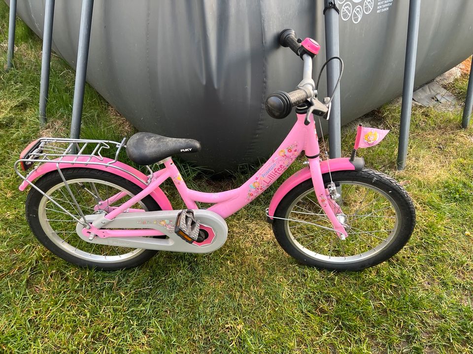 Fahrrad Pucky Kinderfahrrad Prinzessin Lillyfee 18 Zoll in Frohburg