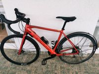 Rennrad Focus Paralane 6.8 2019 Nordrhein-Westfalen - Horn-Bad Meinberg Vorschau