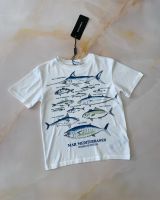 T-Shirt Dolce Gabbana original Kinder Berlin - Zehlendorf Vorschau