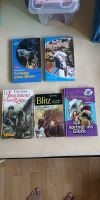Bücher Pferde Romane und Geschichten Nordrhein-Westfalen - Mönchengladbach Vorschau