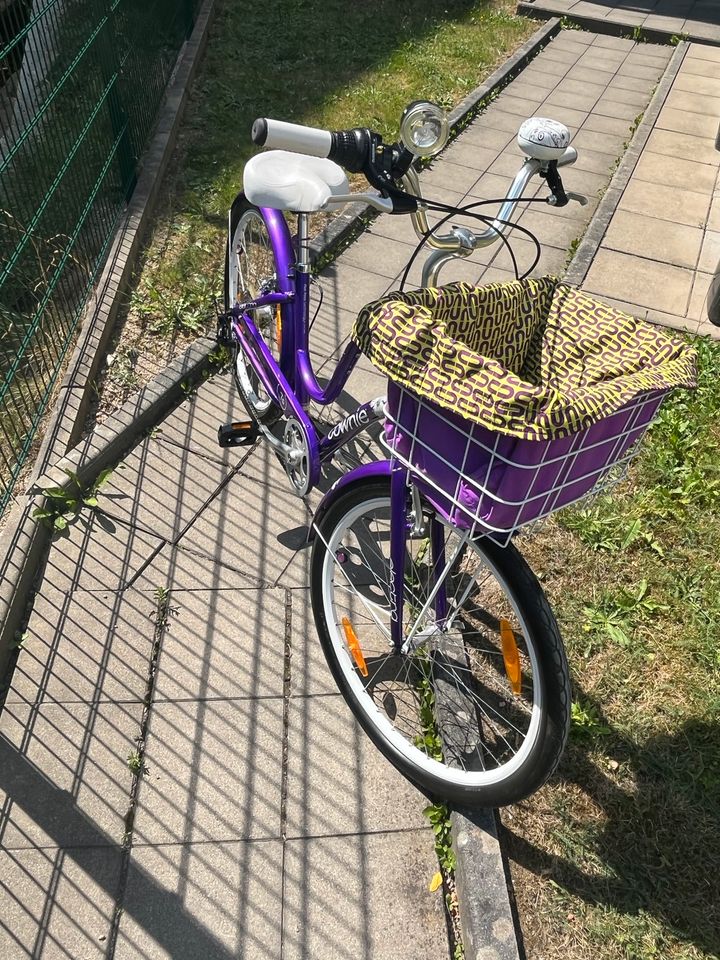 Electra Townie cruise bike Damen 7 gang Lila in Zwickau