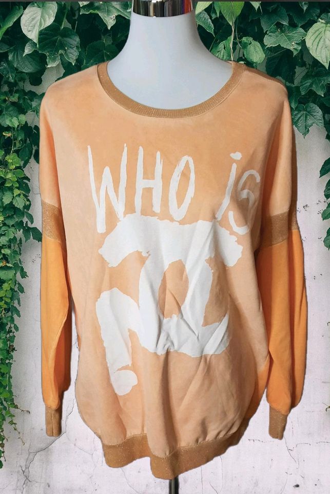 Sweatshirt in apricot - Gr. 40/42 - Neu in Schulzendorf bei Eichwalde