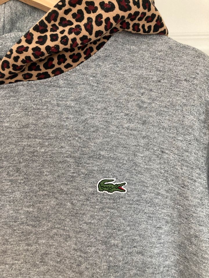 Lacoste Pullover Leo in Magdeburg