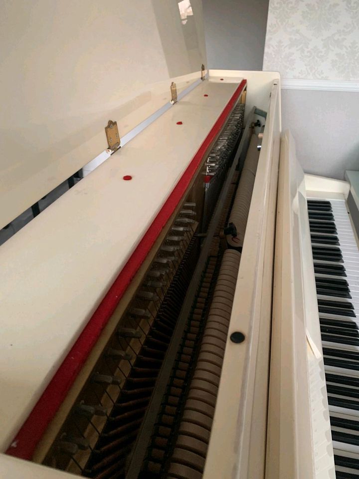 Klavier in farbe elfenbein, cremeweiß in Norderstedt