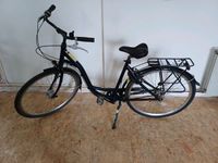 GRECOS DAMENRAD 52 Rh 7 Gang Shimano Nordfriesland - Garding Vorschau