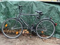 Fahrrad Herrenrad 28 Zoll Sachsen - Sohland Vorschau