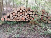 Forstarbeiten Holzeinschlag Flächenräumung Holzverkauf Rheinland-Pfalz - Dahn Vorschau