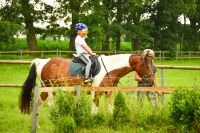 Reitunterricht Sitzlonge Bodenarbeit, Zeit mit dem Pferd Nordrhein-Westfalen - Isselburg Vorschau