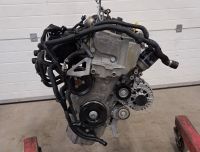 Motor Komplett CAX CAXB 1.4 TSI 65000Km Garantie TOP Engine Brandenburg - Küstriner Vorland Vorschau