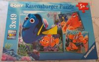 Puzzle Findet Dorie Ravensburger, ab 5 J. Baden-Württemberg - Meckenbeuren Vorschau