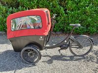 Sondermodell Triobike Boxter Air E- Lastenrad mit 1000€ Rabatt Nordrhein-Westfalen - Lippstadt Vorschau