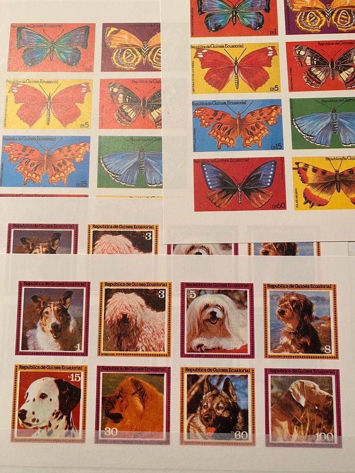 Riesige Briefmarken Sammlung mehrere Tausend in 11 Alben in Wolfenbüttel