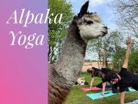 Alpaka Yoga – deine Auszeit auf der Alpakawiese | Horn-Bad Meinb. Bielefeld - Gadderbaum Vorschau