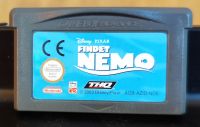Findet Nemo (GBA) Kreis Pinneberg - Elmshorn Vorschau