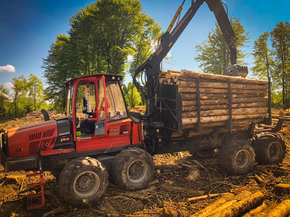 *Holzeinschlag und Holzrückung* in Sundern (Sauerland)