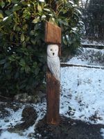 Eule Hedwig aus Holz / Kettensägen Schnitzen Holzkunst Bayern - Walpertskirchen Vorschau