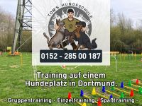 Hundeschule in Dortmund Dortmund - Innenstadt-West Vorschau