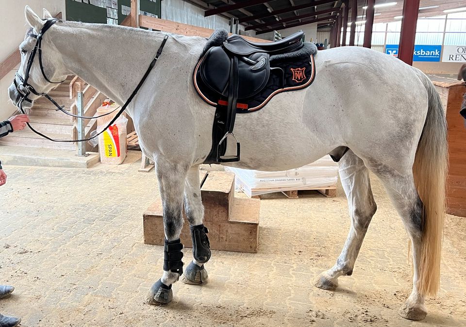 Sattler / Sattel/ Mobile Reitsport- Sattlerei/Westfalen/NRW in Meschede