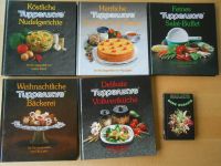 11 Stück Kochbücher Tupperware Burda Aufläufe Salate Fondue Dresden - Neustadt Vorschau