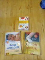 Babybücher, Ratgeber u. Kochbuch Baby Bayern - Dettelbach Vorschau